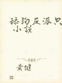 舔狗反派只想苟 小说