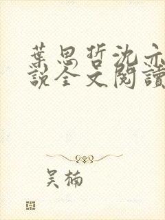 叶思哲沈亦宸小说全文阅读