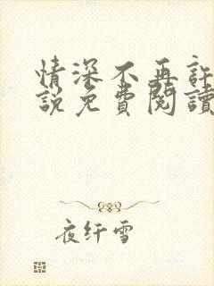 情深不再许 小说免费阅读完本