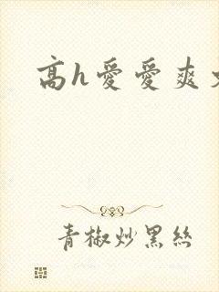 高h爱爱爽文封面