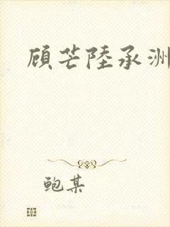 顾芒陆承洲