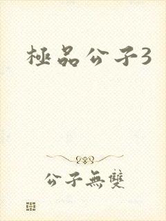 极品公子3