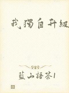 我独自升级2