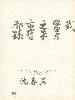 都市之医武风流孙哲朱彦