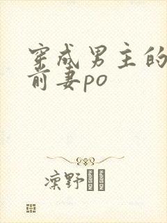 穿成男主的炮灰前妻po