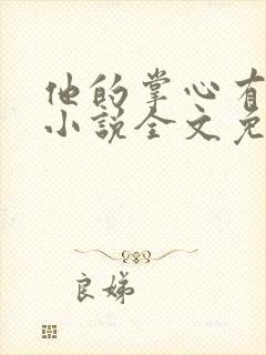 他的掌心有清风小说全文免费阅读在
