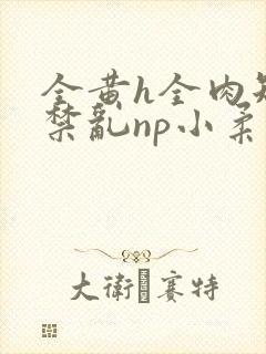 全黄h全肉短篇禁乱np小柔