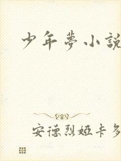 少年梦小说