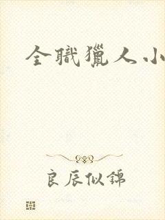 全职猎人小说封面
