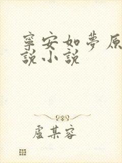 宁安如梦原著小说小说