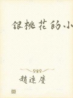 银桃花的小说封面