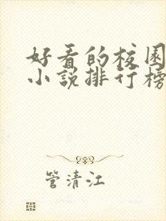 好看的校园言情小说排行榜前十名封面