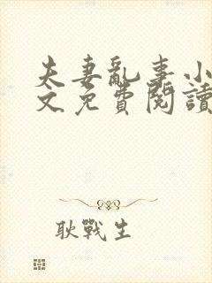 夫妻乱事小说全文免费阅读最新章节