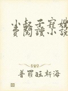 小叔子宠嫂嫂免费阅读小说
