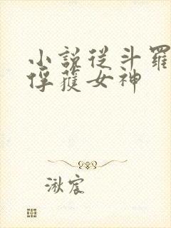 小说从斗罗开始俘获女神封面