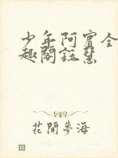 少年阿宾全文笔趣阁钰慧封面