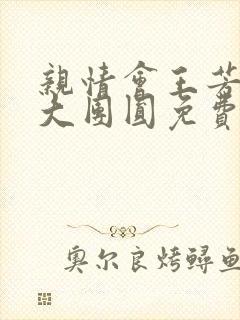 亲情会王芳高敏大团圆免费阅读