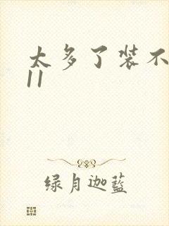 太多了装不下H11