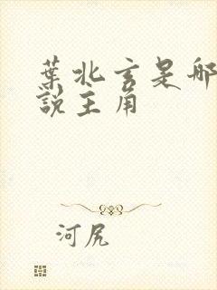 叶北玄是哪本小说主角