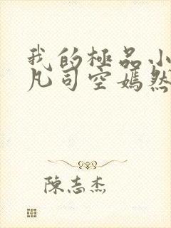 我的极品小姨叶凡司空嫣然小说