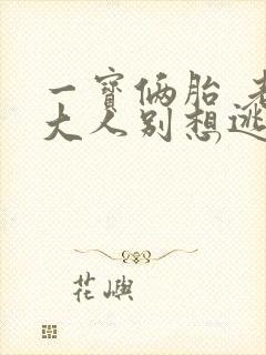 一宝俩胎 老婆大人别想逃