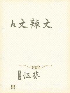 h文辣文封面
