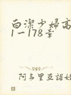 白洁少妇高义第1一178章封面