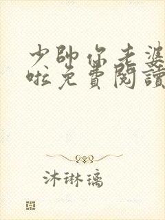 少帅你老婆又跑啦免费阅读