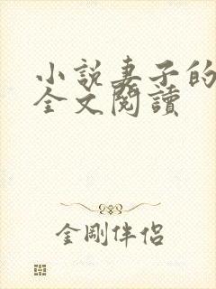 小说妻子的秘密全文阅读封面