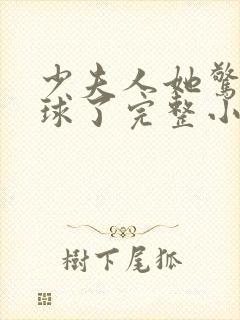 少夫人她惊艳全球了完整小说