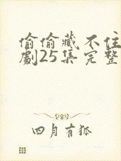 偷偷藏不住电视剧25集完整版