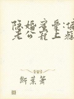 隐婚蜜爱:偏执老公宠上瘾小说版