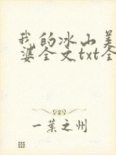 我的冰山美女老婆全文txt全文下载封面