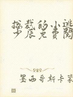 总裁的小逃妻冷少辰免费阅读封面