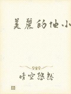 美丽的他小说