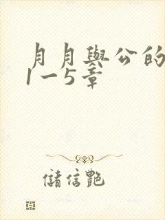 月月与公的激情1一5章