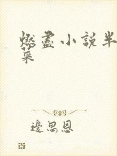 燃尽小说半截白菜