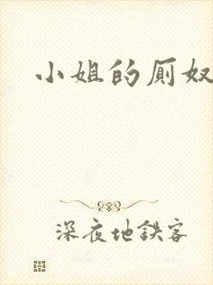 小姐的厕奴