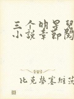 三个明星儿媳妇小说章节阅读免费全文