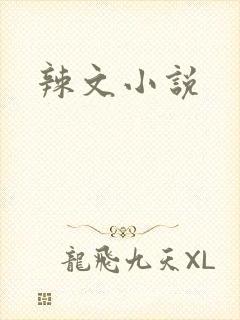 辣文小说