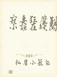宠妻狂魔别太坏小说在线阅读