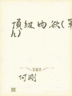 顶级肉欲(军高h)