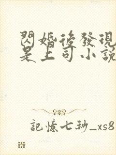闪婚后发现老公是上司小说