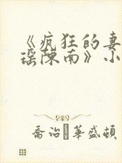 《疯狂的妻子林瑶陈南》小说下载