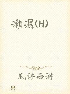 潮湿(H)