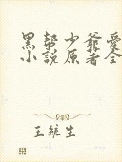 黑帮少爷爱上我小说原著全文封面