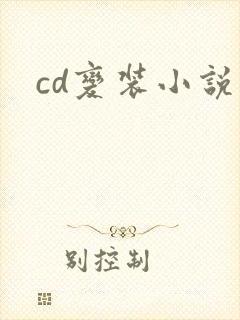 cd变装小说封面