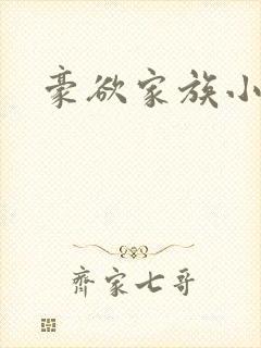 豪欲家族小说