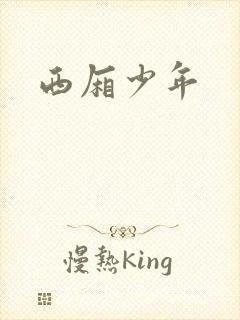 西厢少年