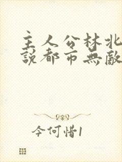 主人公林北的小说都市无敌战神